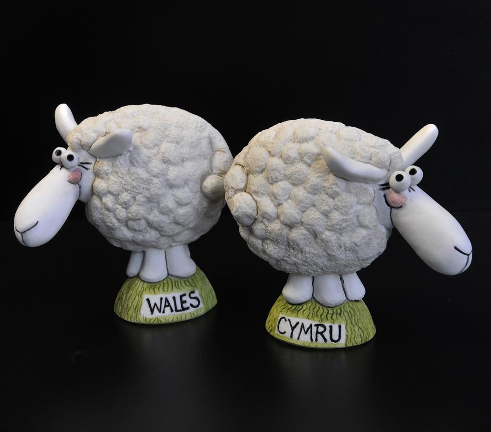 Mini Sheep